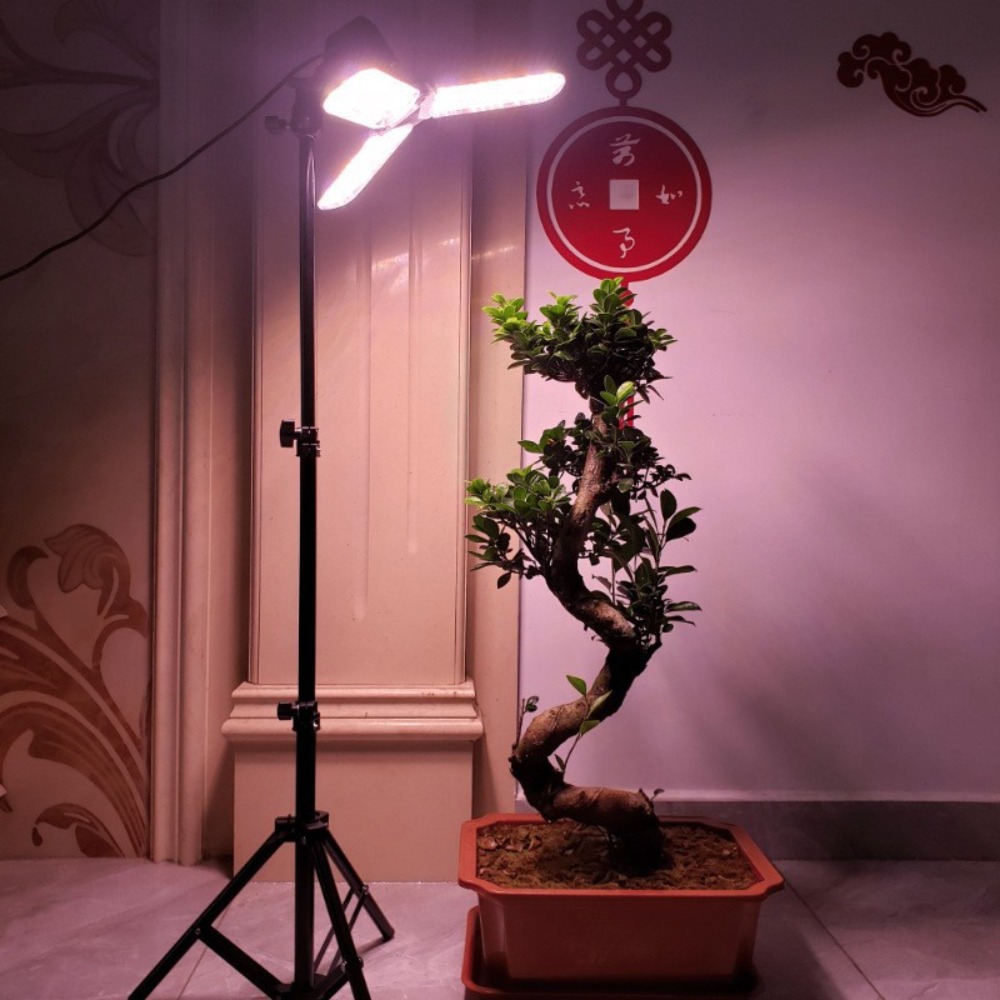Stojak na żarówki 2M, gniazdo  – Photography Lighting Studio recenzja i cena